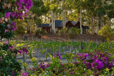 Resort Carmelo Resort & Spa Carmelo