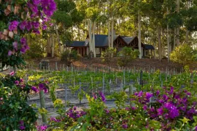 Resort Carmelo Resort & Spa Carmelo