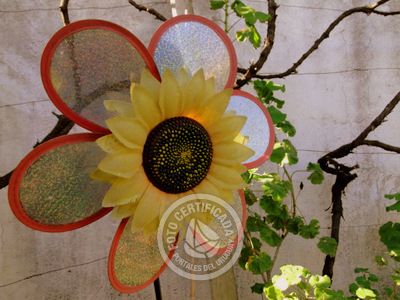 Hostel Carmelo Hostel Carmelo .- Foto del 2/6/14, 11:01