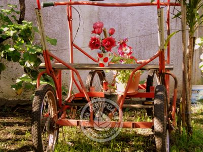 Hostel Carmelo Hostel Carmelo