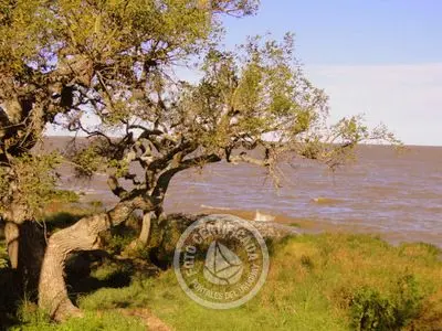 Hotel Charco Colonia