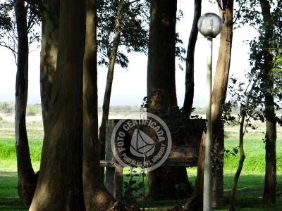 Villa Las Martinas - Cabaña Triple Colonia