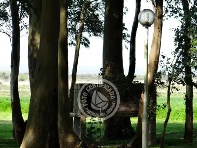 Villa Las Martinas - Cabaña Triple Colonia