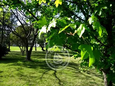 Villa Las Martinas - Cabaña Doble Colonia