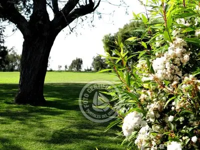 Villa Las Martinas - Cabaña Doble Colonia