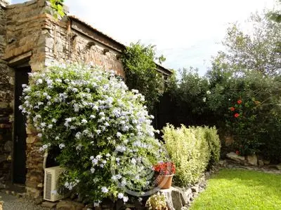 Posada Plaza Mayor - Rancho Portugués Mayor Colonia