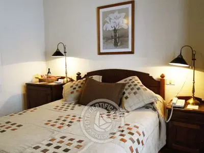 Plaza Mayor - Semisuite Matrimonial Colonia