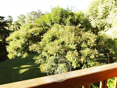 Hotel Nirvana - Apartamento Estándar Nueva Helvecia