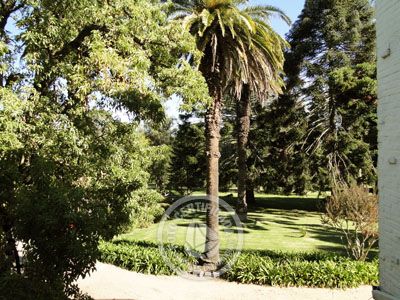 Hotel Nirvana - Hab. Doble Matrimonial Superior Nueva Helvecia