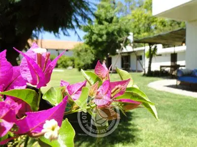 Apartamento Mykonos - Apto. Los Rosales Carmelo