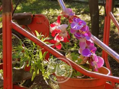 Hostel Carmelo Hostel - Suite para 4 personas Carmelo