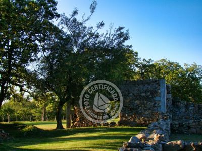 Outdoor activities Calera de las Huerfanas Carmelo