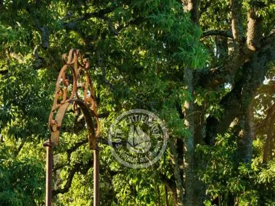 Passeio e Atividades Calera de las Huerfanas Carmelo