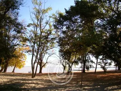 Paseos y Actividades Carmelo Colonia