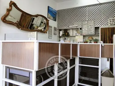 Heladeria Helados Olgiatti Colonia