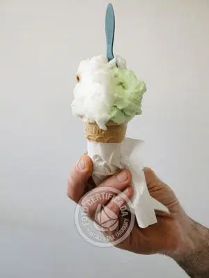 Heladeria Helados Olgiatti Colonia