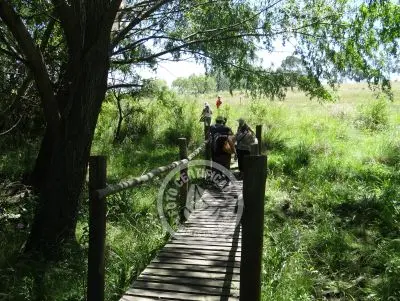 Restaurante Los tres botones Colonia Rural