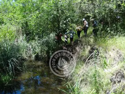 Restaurante Los tres botones Colonia Rural