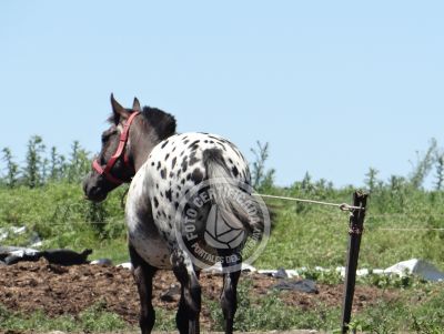 Restaurant Los tres botones Zonas rurais