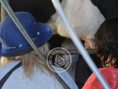 Restaurante Los tres botones Colonia Rural