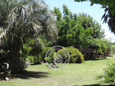 Restaurant Los tres botones Zonas rurais