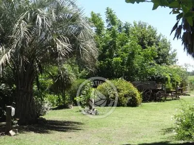 Restaurante Los tres botones Colonia Rural