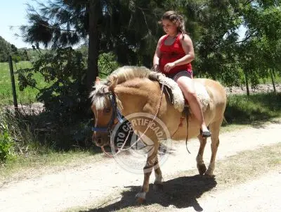 Restaurante Los tres botones Colonia Rural