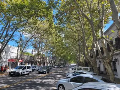 Restaurant Mercosur Colonia del Sacramento