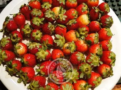 Restaurant Zalem Colonia