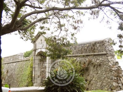 Restaurants - Food La Bendita Colonia