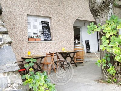 Restaurants - Food La Bendita Colonia