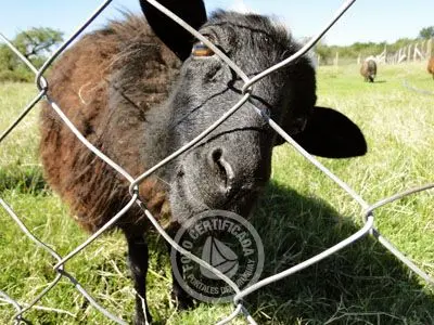 Reserva de Fauna, Carmelo - Colonia