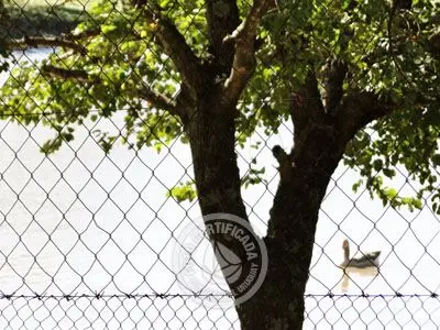 Passeio e Atividades Reserva de Fauna, Carmelo - Colonia Colonia