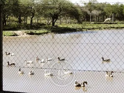 Passeio e Atividades Reserva de Fauna, Carmelo - Colonia Colonia