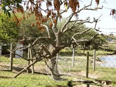 Passeio e Atividades Reserva de Fauna, Carmelo - Colonia Colonia