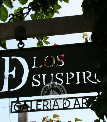 Outdoor activities La Calle de los Suspiros Colonia