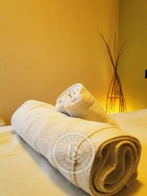 Salud Spa del Hotel Nirvana Colonia