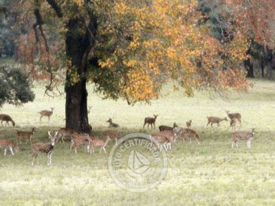 Paseos y Actividades Parque Anchorena Colonia