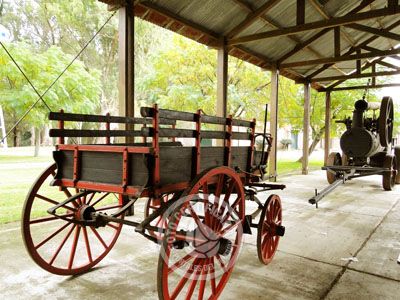 Paseos y Actividades Parque Anchorena Colonia