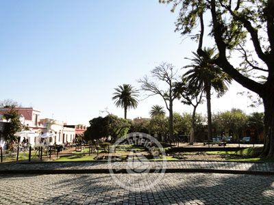 Outdoor activities Plaza Mayor  Colonia