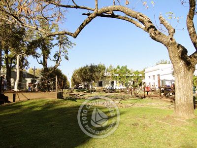 Outdoor activities Plaza Mayor  Colonia