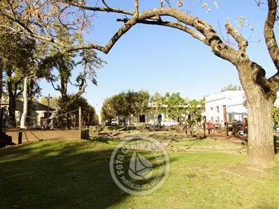 Outdoor activities Plaza Mayor  Colonia