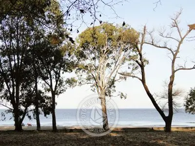 Paseos y Actividades Juan Lacaze Colonia