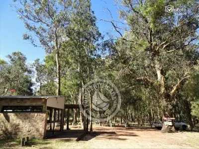 Camping Aguas Dulces