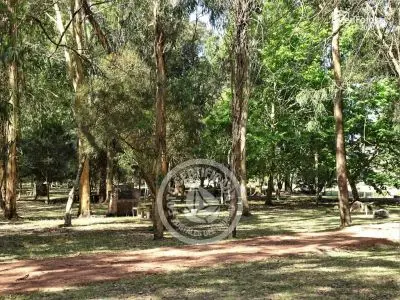 Camping Aguas Dulces