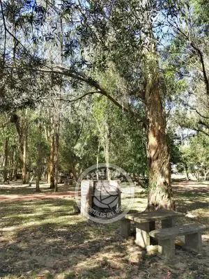 Camping Aguas Dulces