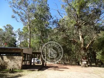 Camping Aguas Dulces