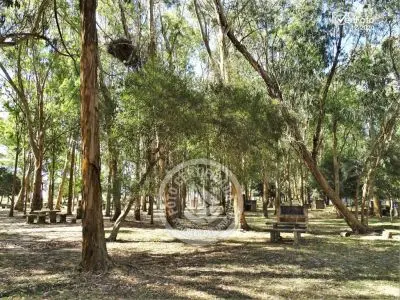 Camping Aguas Dulces