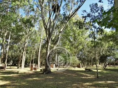 Camping Aguas Dulces