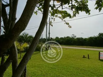 Cabin Octubre. Aguas Dulces